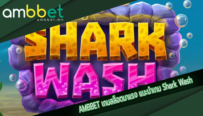 เกมสล็อตมาแรง แนะนำเกม Shark Wash เกมดีแตกง่ายแตกจริง
